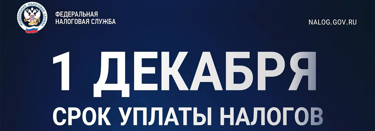 Срок уплаты налогов
